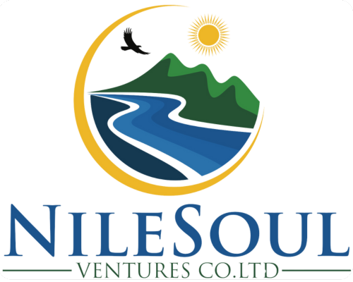 Nile Soul Ventures